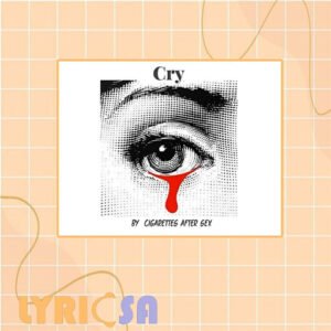 پوستر ترجمه اختصاصی Cry