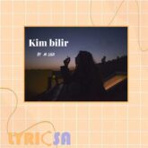 پوستر ترجمه اختصاصی آهنگ Kim Bilir