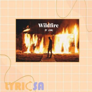 پوستر ترجمه اختصاصی Wildfire