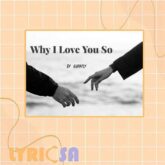 پوستر اختصاصی آهنگ Why I Love You So