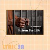 پوستر اختصاصی آهنگ Prison for life